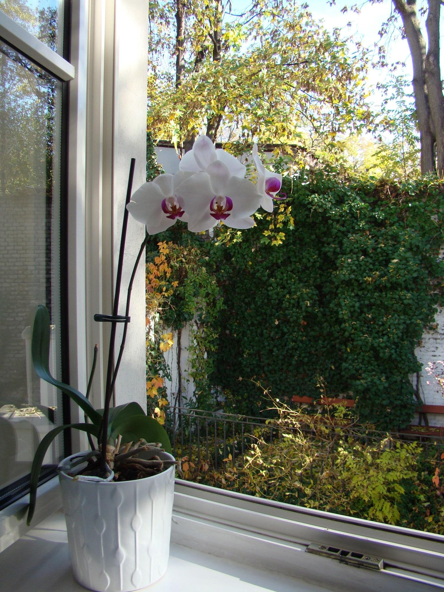 Boutique Hotel 16 Prága Kültér fotó