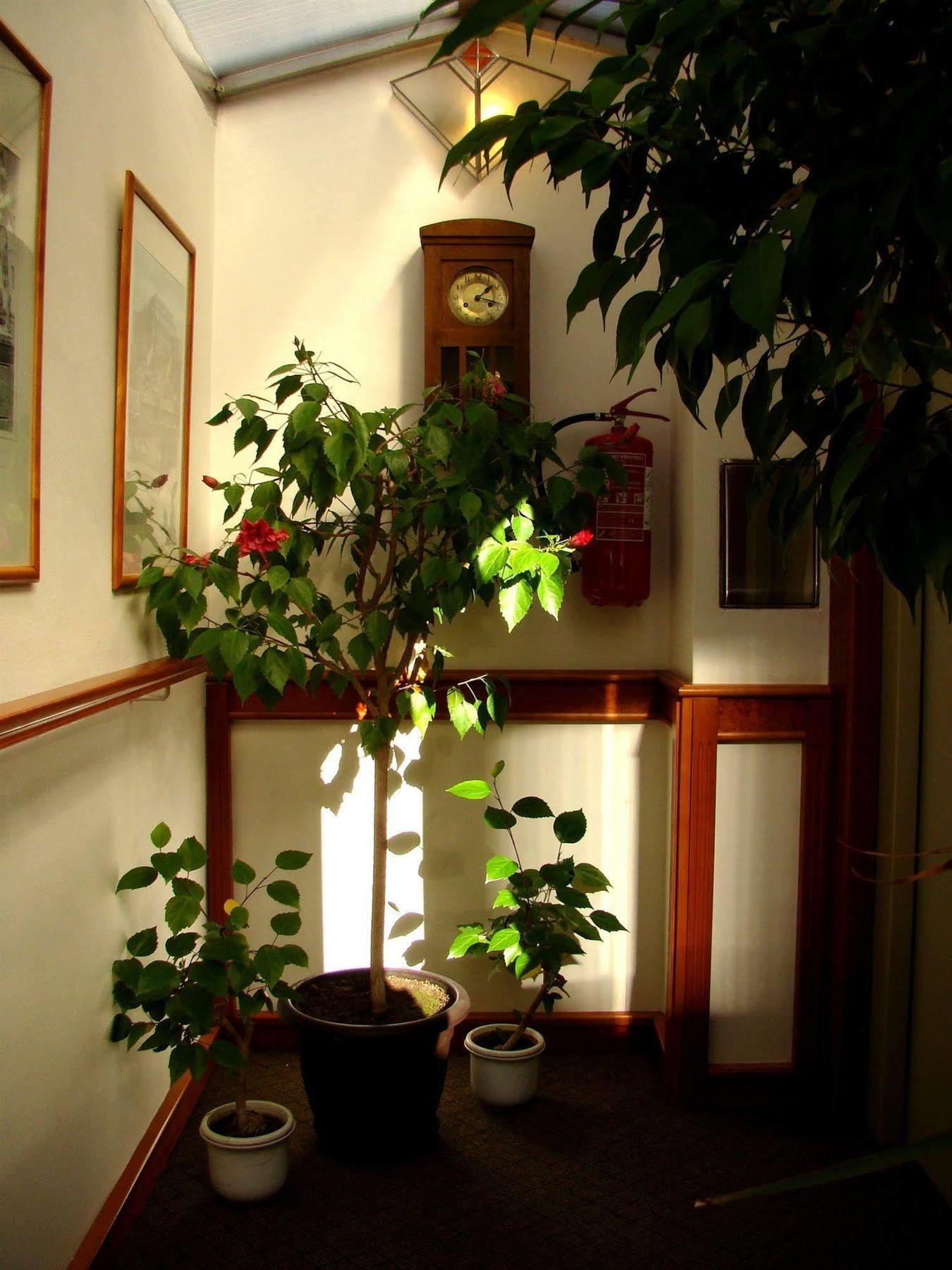 Boutique Hotel 16 Prága Kültér fotó